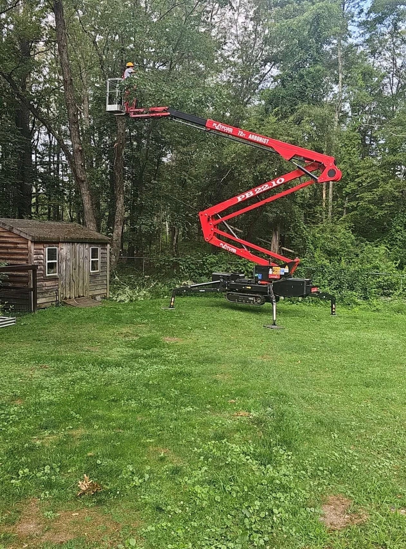 Tree Trimming & Pruning